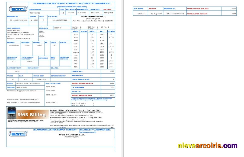 PAKISTAN IESC business utility bill